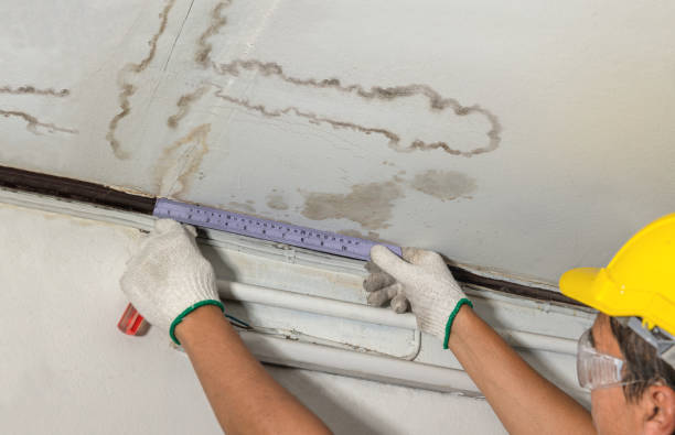 Reliable Mold Remediation contractor in Duff, TN by Water Damage Irwin